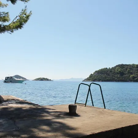 Panoramic Anic *