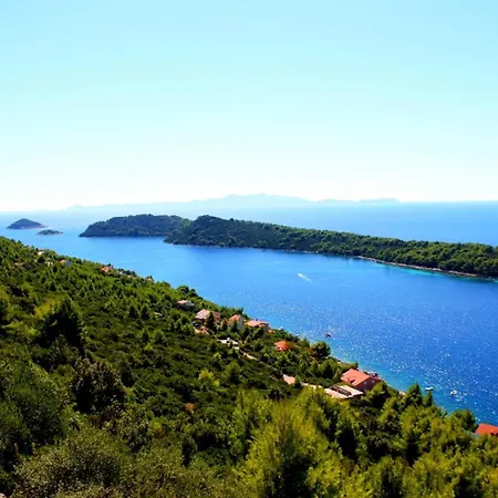 Апартаменты Panoramic Anic Blato (Korcula)