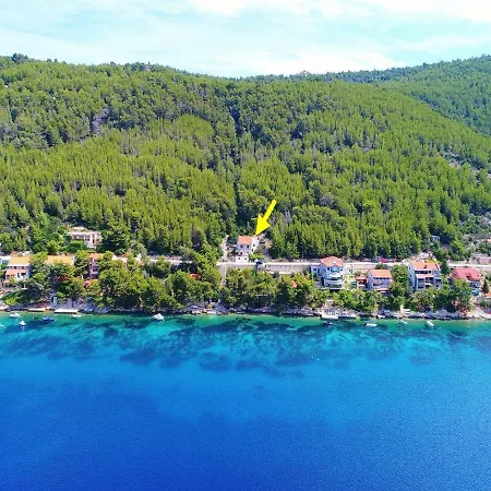 Panoramic Anic