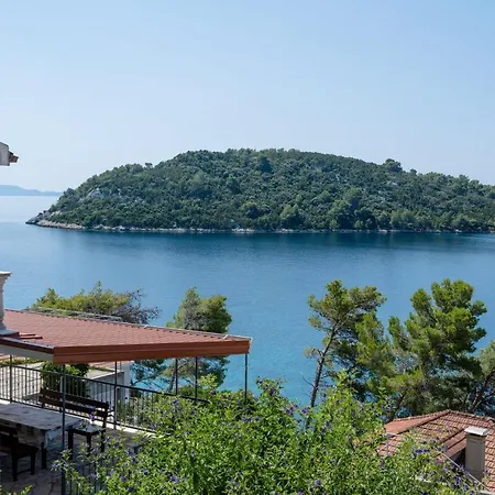 Panoramic Anic *