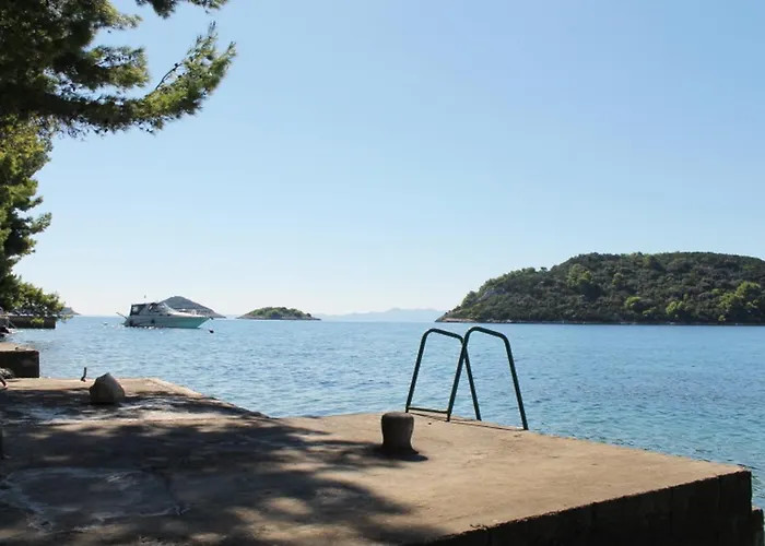 Panoramic Anic *