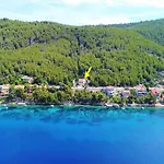 Panoramic Anic