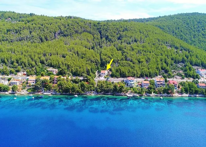 Panoramic Anic
